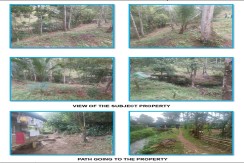 Agricultural lot for sale in San Antonio, Bislig, Surigao del Sur