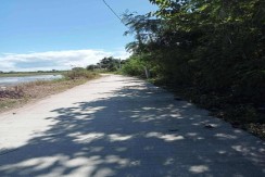FOR SALE  - 93-Hectare Titled Property in Pangasinan
